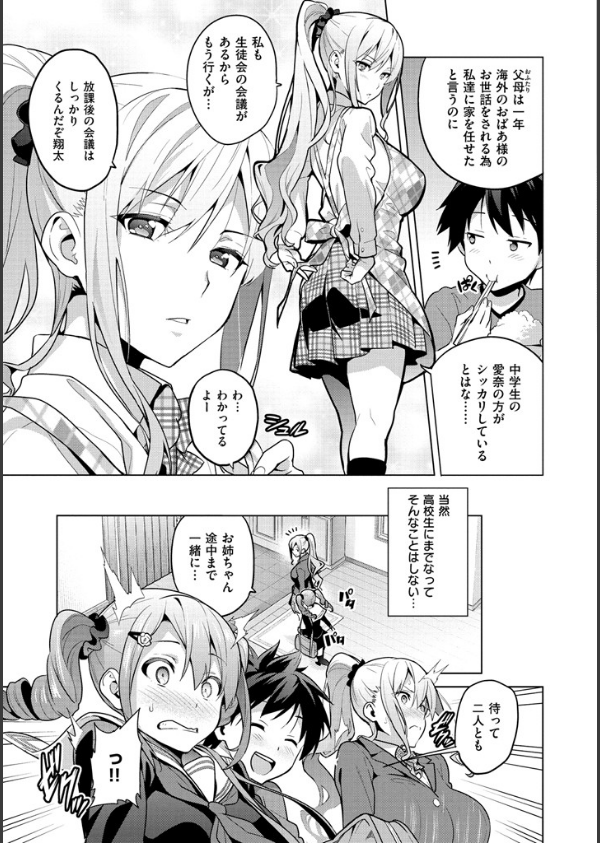 シスターブリーダー_7枚目の画像
