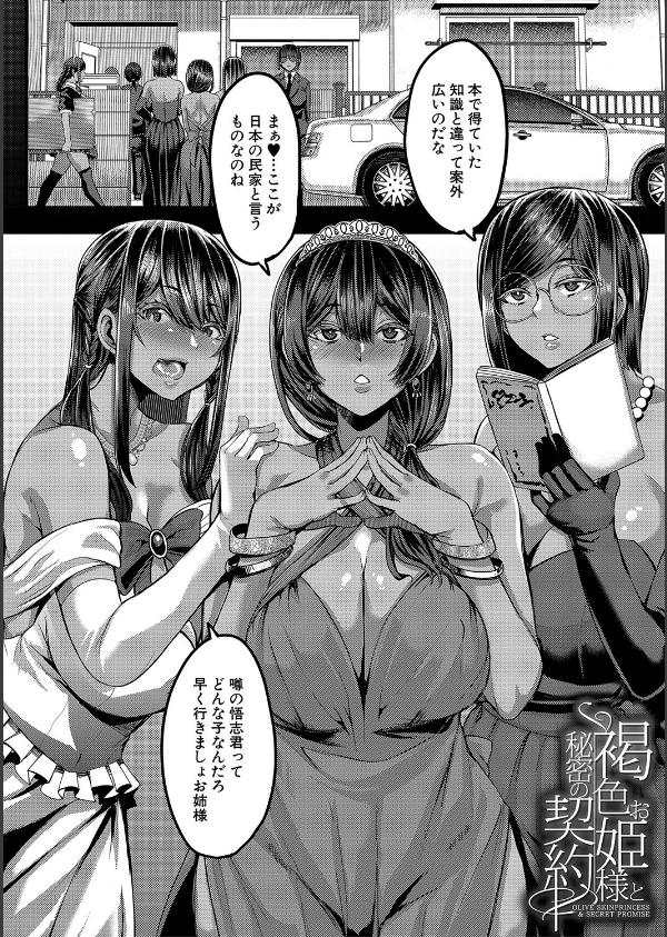 褐色姫と秘密の契約【1話立ち読み付き】_4枚目の画像