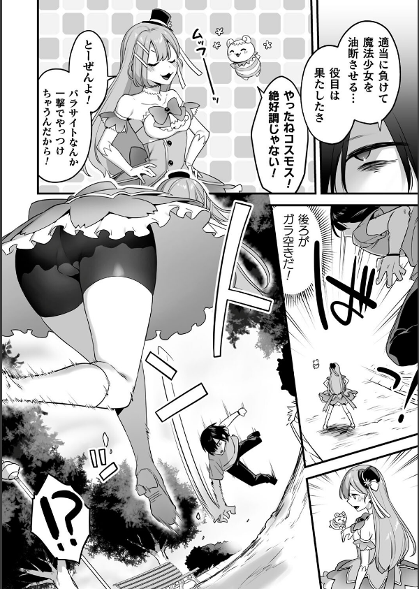 悪の手先になったので。 〜魔法少女を××します〜 THE BOOK_12枚目の画像