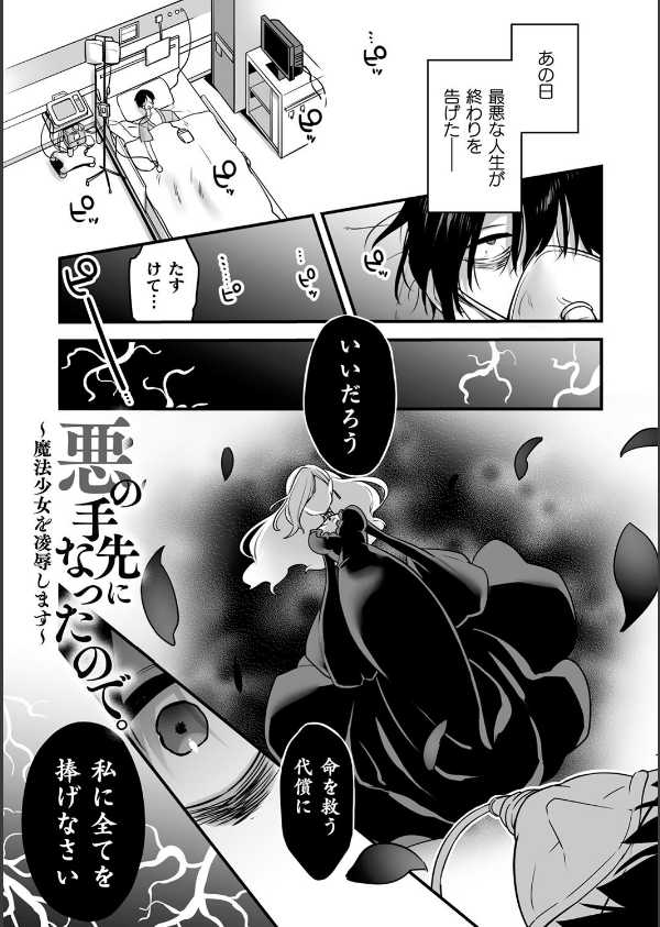 悪の手先になったので。 〜魔法少女を××します〜 THE BOOK_5枚目の画像