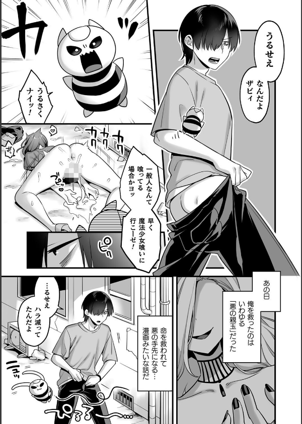 悪の手先になったので。 〜魔法少女を××します〜 THE BOOK_7枚目の画像