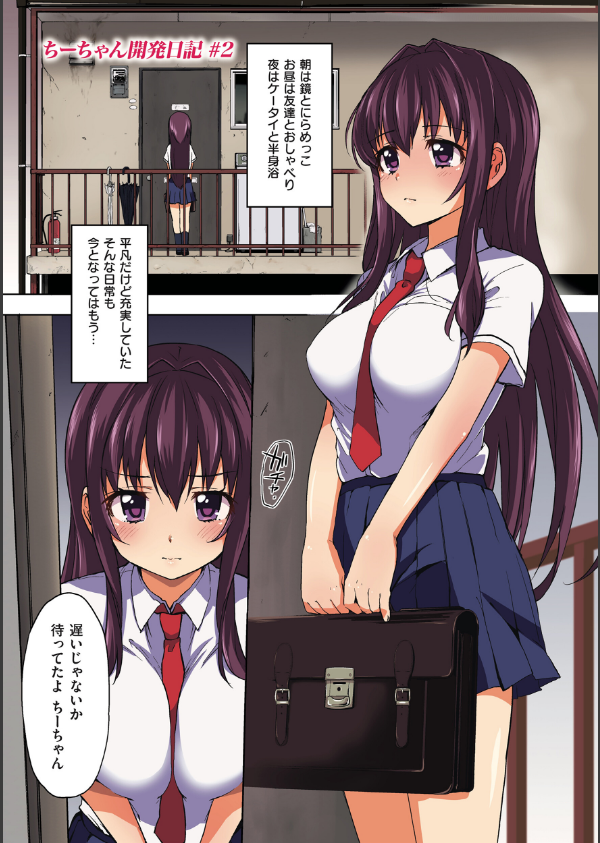 ちーちゃん開発日記【通常版】_12枚目の画像