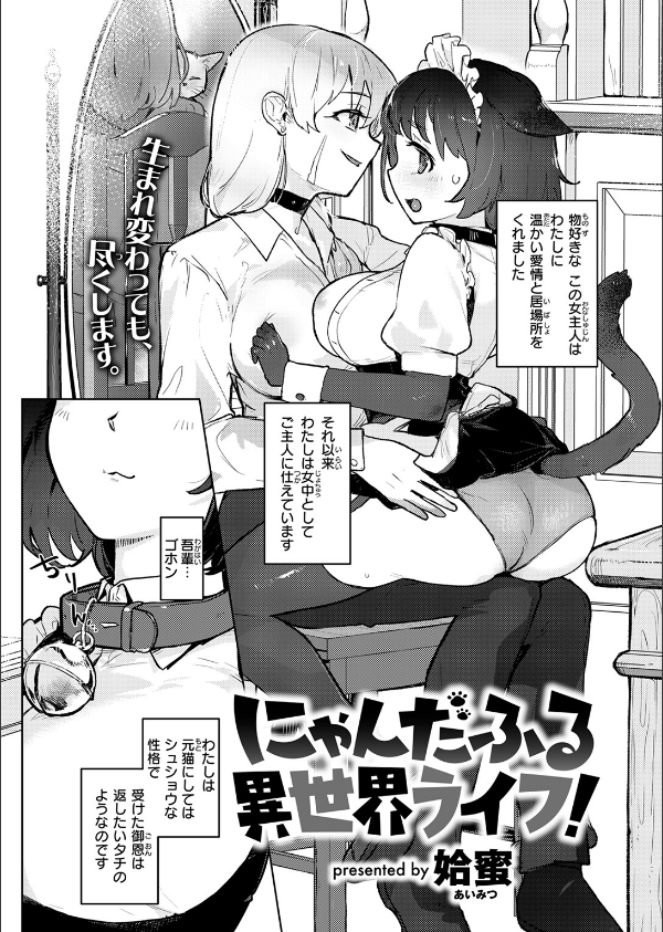 異世快楽天SELECTION 2025 SUMMER_44枚目の画像