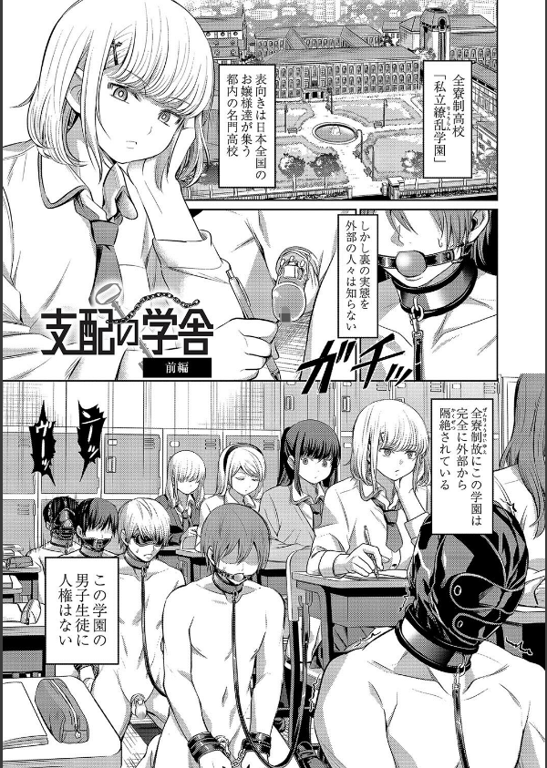 ざ・ふぃめーる・どみねーしょん【デジタル特装版】_5枚目の画像