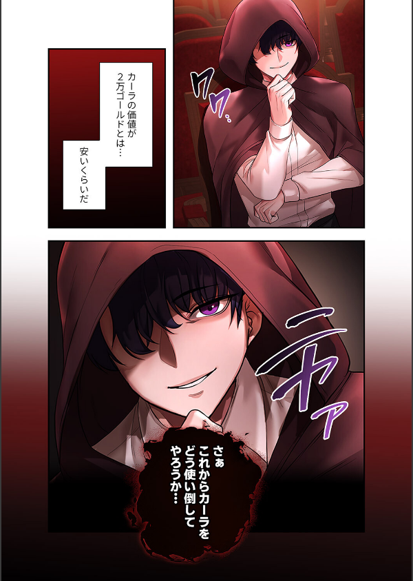 没落令嬢ですが、あなたにご奉仕させてください！【デジタル特装版】【FANZA限定版】_9枚目の画像