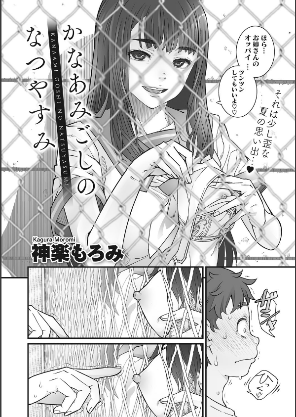 金網のむこうがわ_4枚目の画像