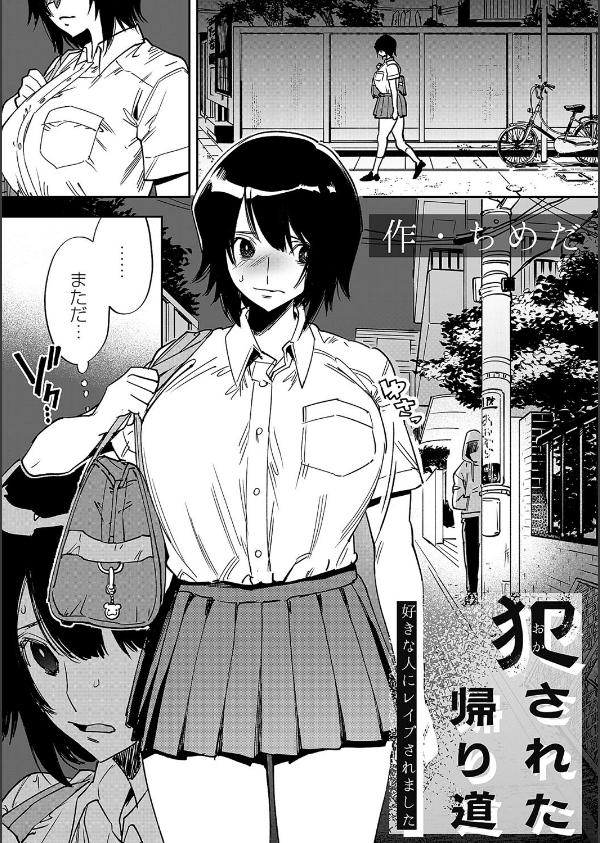 犯●れた帰り道（単話）_1枚目の画像