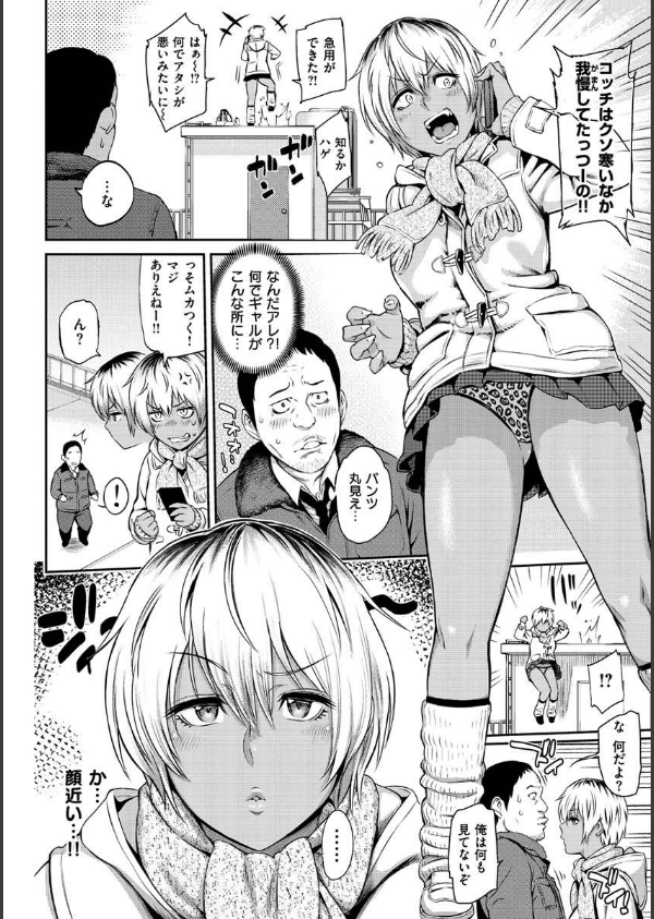 とりこじかけ_30枚目の画像